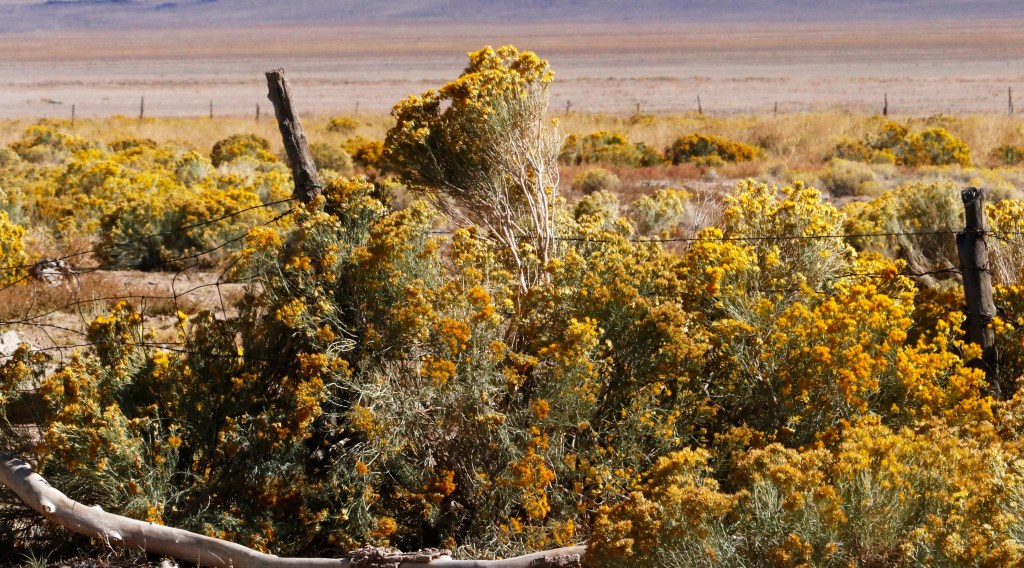 4/11/22 THE GREAT REFORM AND HILDEGARD OF&nbsp;BINGEN