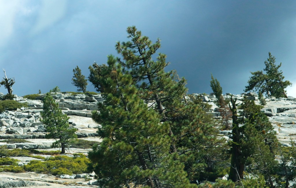 1/17/22 HIPPOLYTUS, ORIGEN, AND&nbsp;EPIPHANIUS