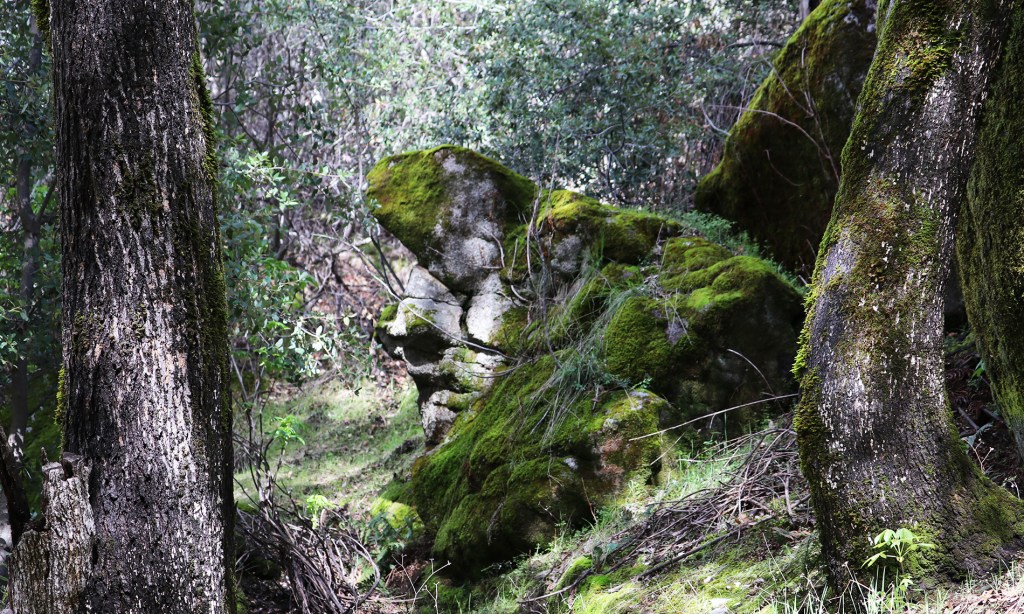 12/3/22 REVELATION 1:1a, PART&nbsp;1