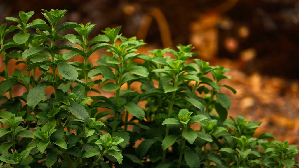 12/15/22 REVELATION 1:1a, PART&nbsp;3