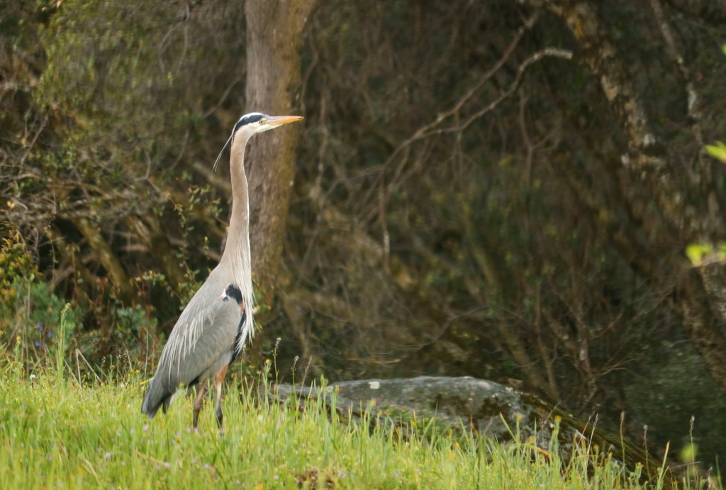 5/26/23 REVELATION 1:1b, PART&nbsp;4