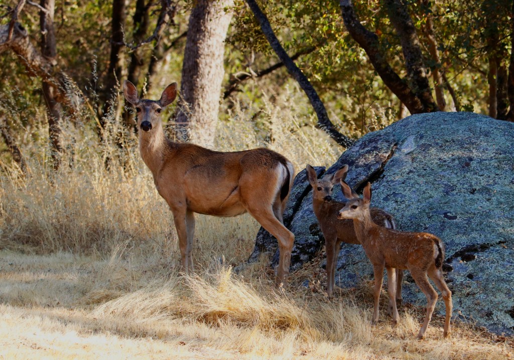 8/30/23 REVELATION 1:1c, PART&nbsp;6