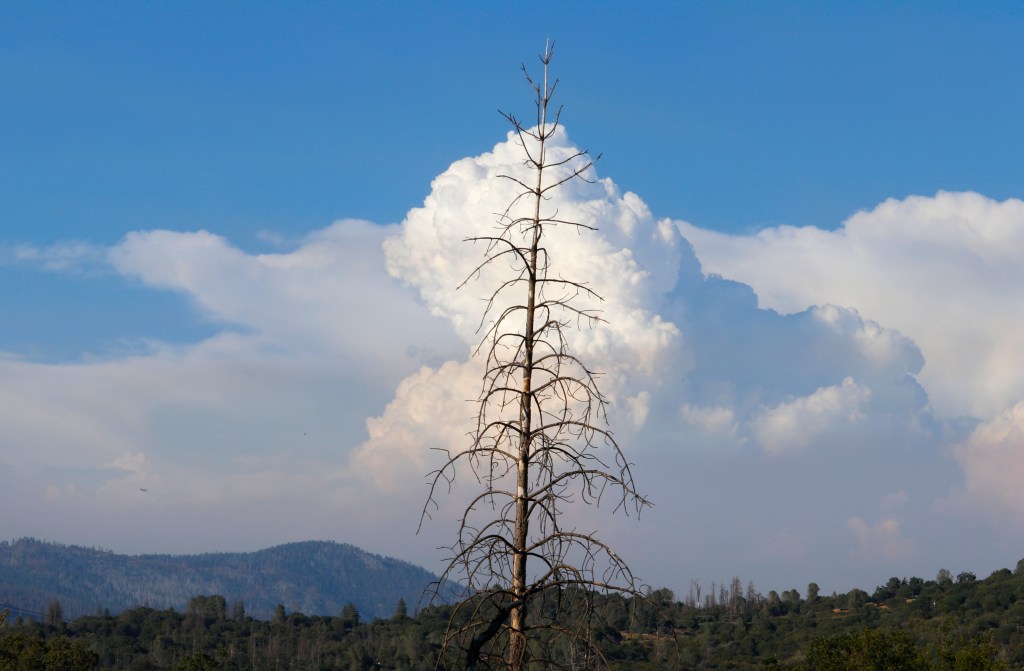 2/9/23 REVELATION 1:1a, PART&nbsp;9