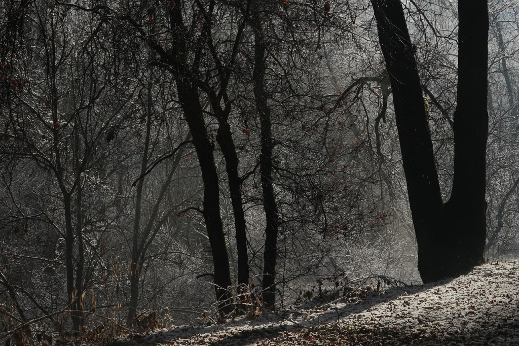 2/17/23 REVELATION 1:1a, PART&nbsp;10