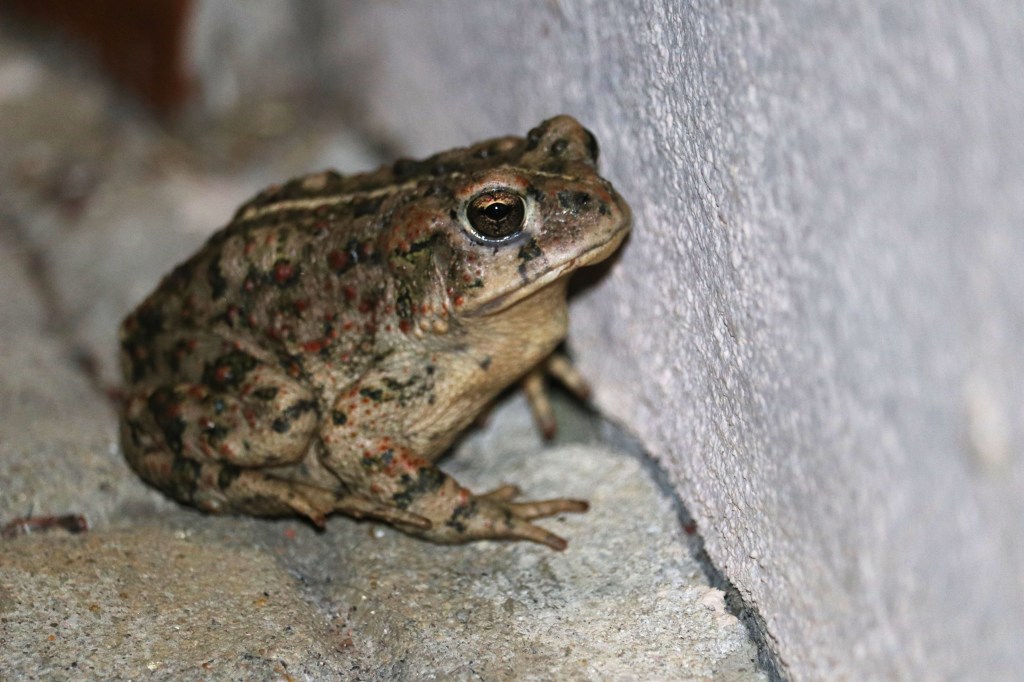 10/19/23 A LOOK AT THE TIMING ISSUE OF MATTHEW 24, PART&nbsp;5