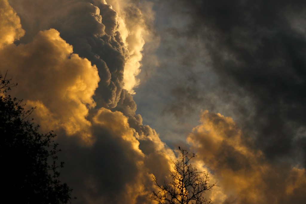 12/3/23 A LOOK AT THE TIMING ISSUE OF MATTHEW 24, PART&nbsp;12