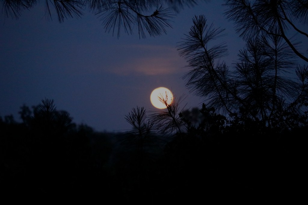 11/20/23 A LOOK AT THE TIMING ISSUE OF MATTHEW 24, PART&nbsp;10