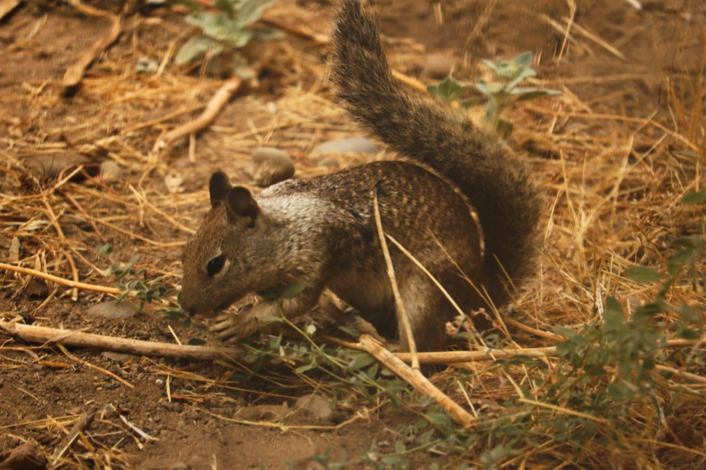 1/23/24 A LOOK AT THE TIMING ISSUE OF MATTHEW 24, PART&nbsp;20