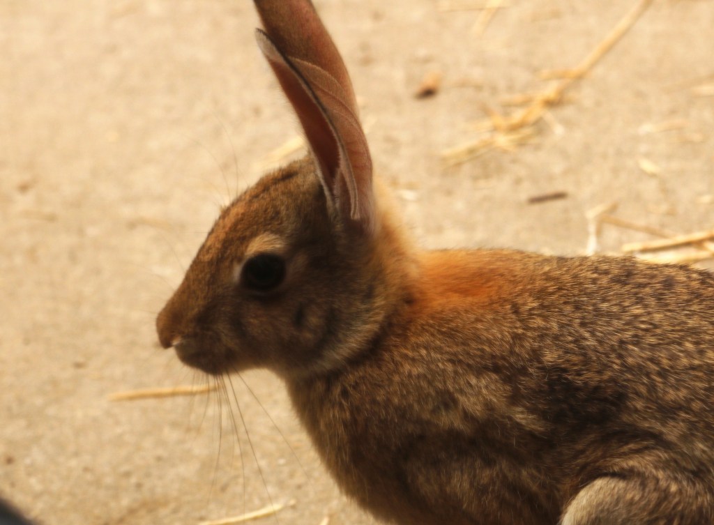 12/14/23 A LOOK AT THE TIMING ISSUE OF MATTHEW 24, PART&nbsp;14