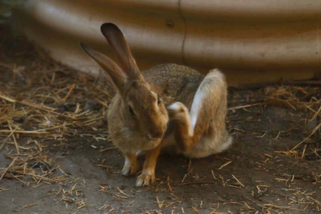 12/28/23 A LOOK AT THE TIMING ISSUE OF MATTHEW 24, PART&nbsp;16