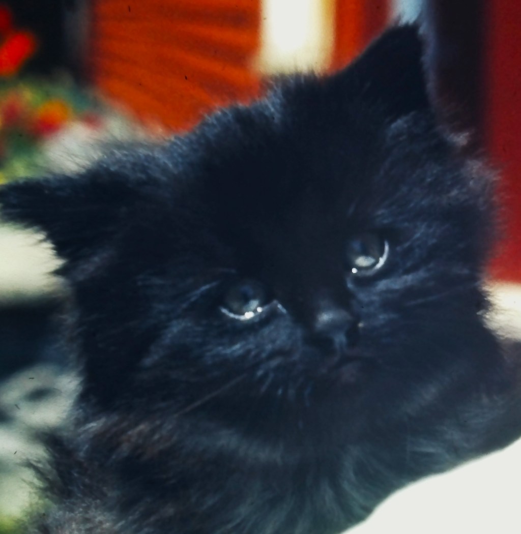 4/7/24 REVELATION 1:2, PART&nbsp;3